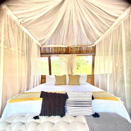 ホテル Nuscaa Boutique Tree House & Spa プエルト・モレロス エクステリア 写真