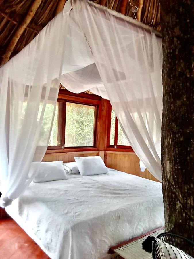 ホテル Nuscaa Boutique Tree House & Spa プエルト・モレロス エクステリア 写真
