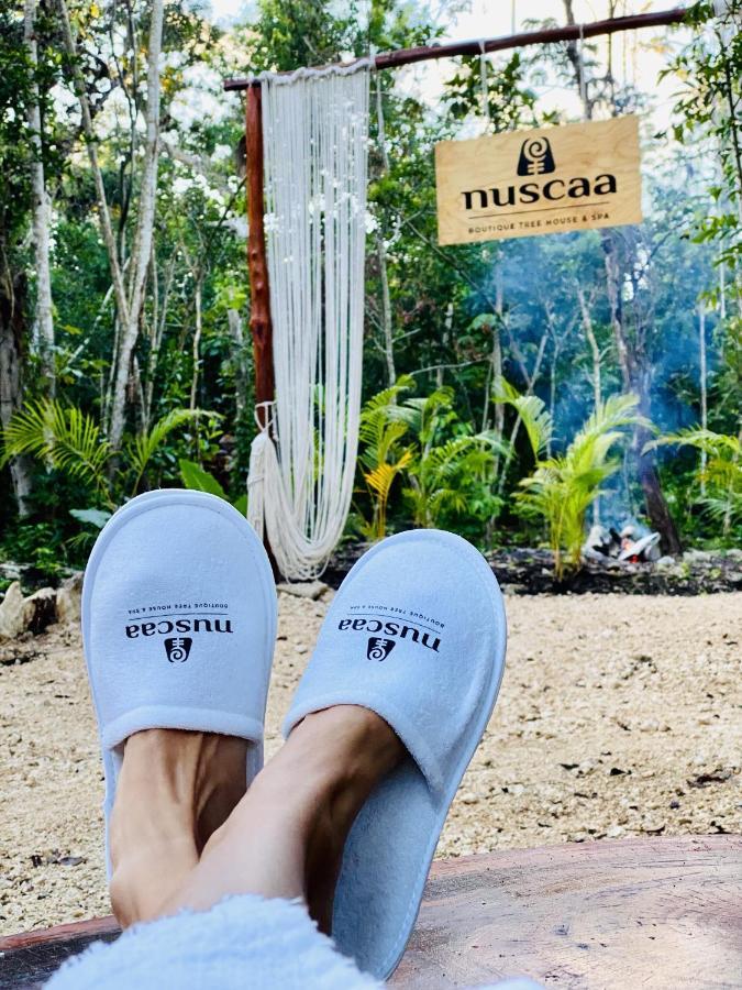 ホテル Nuscaa Boutique Tree House & Spa プエルト・モレロス エクステリア 写真