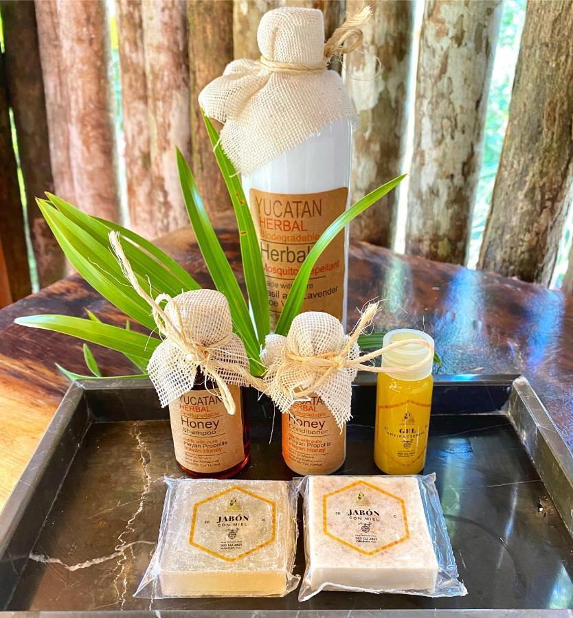 ホテル Nuscaa Boutique Tree House & Spa プエルト・モレロス エクステリア 写真