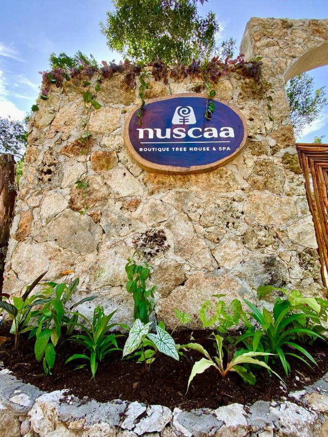 ホテル Nuscaa Boutique Tree House & Spa プエルト・モレロス エクステリア 写真
