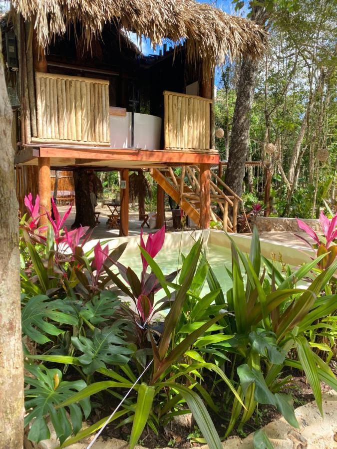 ホテル Nuscaa Boutique Tree House & Spa プエルト・モレロス エクステリア 写真
