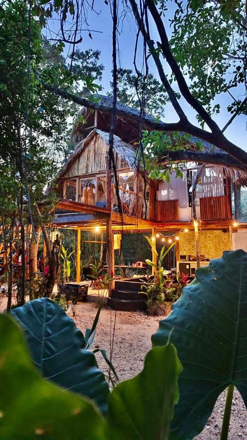 ホテル Nuscaa Boutique Tree House & Spa プエルト・モレロス エクステリア 写真