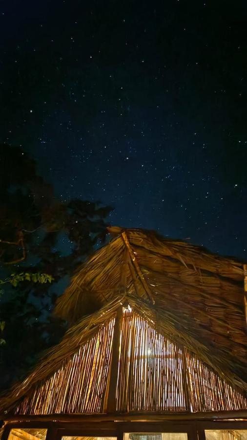 ホテル Nuscaa Boutique Tree House & Spa プエルト・モレロス エクステリア 写真